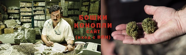 ешки Инта