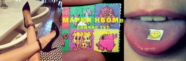 ешки Инта