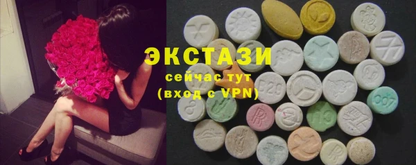 ешки Инта