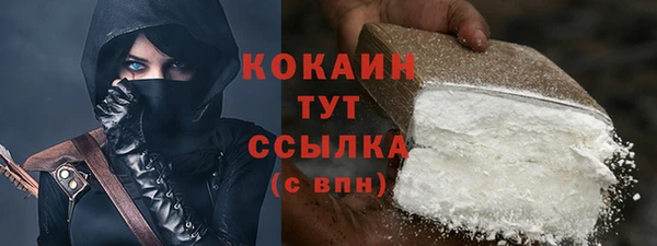 ешки Инта
