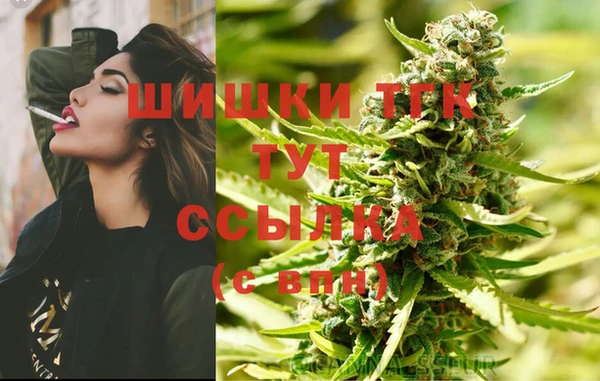 круглые Инсар