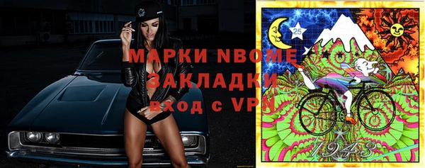 ешки Инта